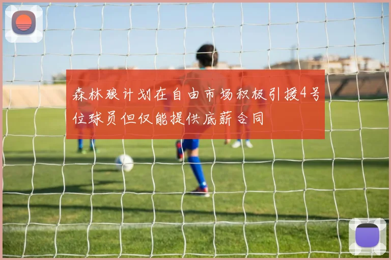 森林狼计划在自由市场积极引援4号位球员但仅能提供底薪合同