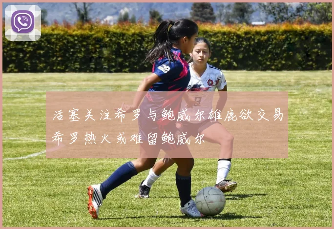 活塞关注希罗与鲍威尔雄鹿欲交易希罗热火或难留鲍威尔